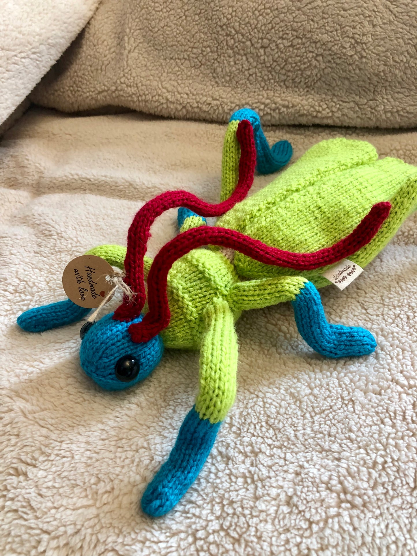 Colourful Knitted Grasshopper