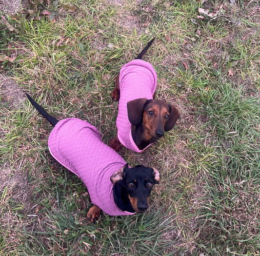 Wave Rib stretch jersey Dachshund T-Shirt